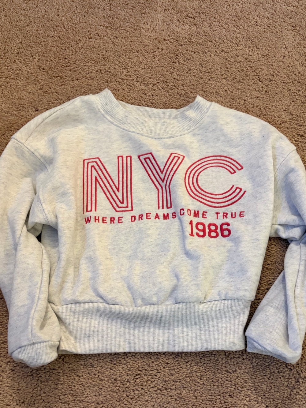 OshKosh B'gosh Light Gray Sweatshirt with Red NYC Graphic